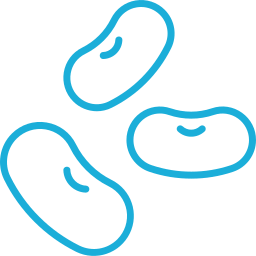Light blue outline icon of 3 beans