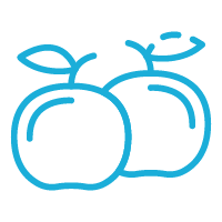 Light blue outline icon of two apples
